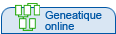 GeneaTique on line