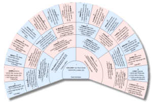 Arbre généalogique circulaire ascendant