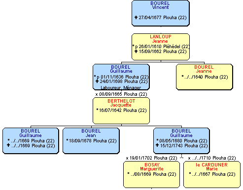 Arbre descendant