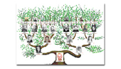 Arbre g&eacute;n&eacute;alogique
