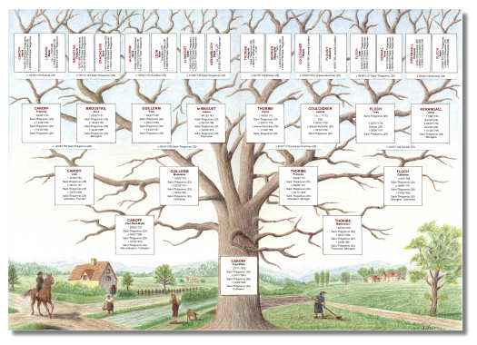 logiciel arbre généalogique 