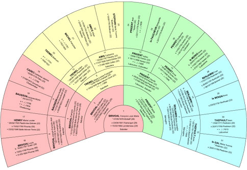 Arbre généalogique circulaire