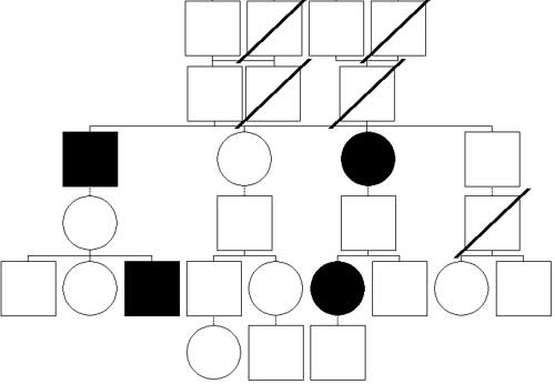 Arbre généalogique simple représentant les malades