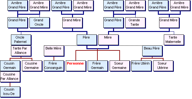 Les liens de parenté proche