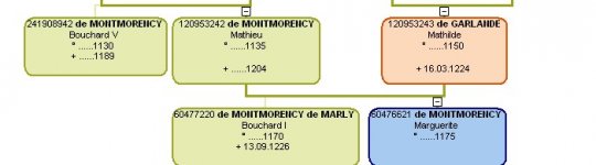 de MONTMORENCY cases.jpg
