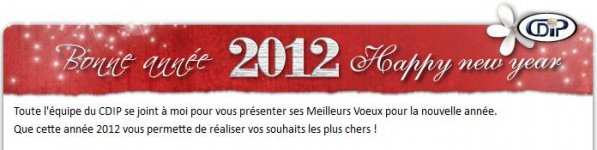 1bonne-annee2012.jpg