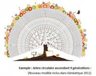 1arbre-2012.jpg