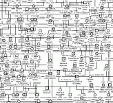 _genopro2.gif