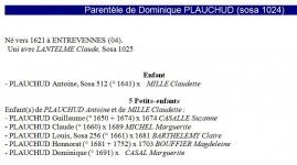 Capture.parentèle dominique (1621)JPG.JPG