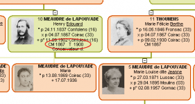 m-ligne.png