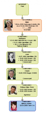 arbre-maigre.png