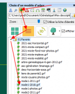 choix-arbre.png