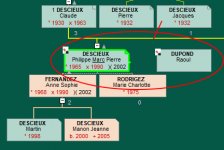 Lignée-ADN.jpg