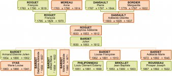 arbre ROGUET Joséphine.jpg