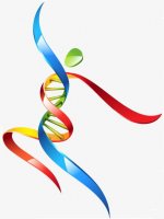 ADN_logo.jpg