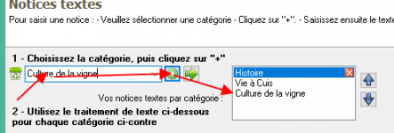 catégories-texte.png