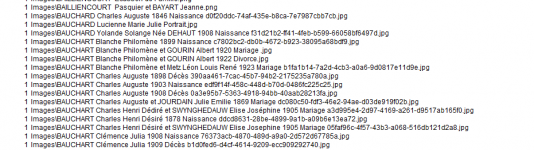 extrait liste genealogie cliquennois.png