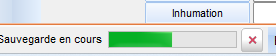 sauvegarde en cours.png