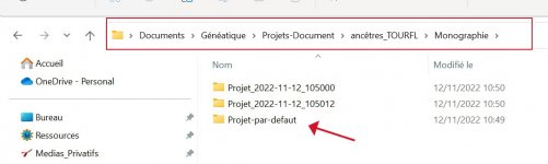 GT2023_projet_defaut.jpg