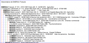 Extrait_Liste_descendance.png