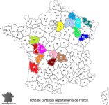 fond-carte-departements-couleurs50.jpg