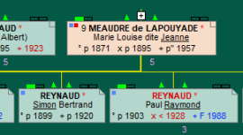 branches-ancrées.png