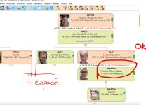 Capture écran pour CDIP - Divorce OK & + espace entre cousins(e).JPG