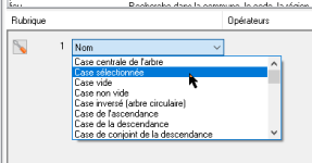 sélectionnée_.png