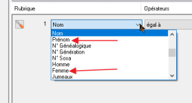 choix rubriques.png