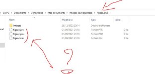 HardCopy_Généatique GW3_ 2.JPG