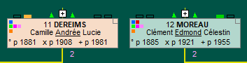 4branches.png