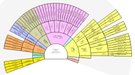 11couleurs-pélissier.png