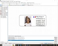 Mort pour la France bis.jpg