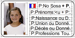 case-défaut.png