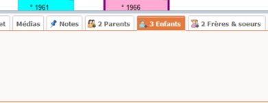 Onglet Enfants Geneatique.jpg Onglet Enfants Geneatique.jpg