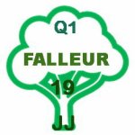 Q1_19_JJ_Falleur.jpg
