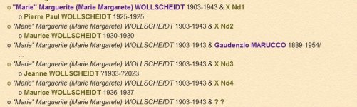 Anomalie 6è Wollscheidt Affichage.jpg