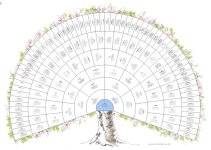 arbre complet.jpg