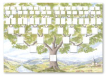 arbre-et-cases.png