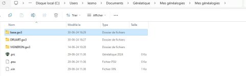 dossier base.gw3 13 juin (généalogie Vigneron au complet 458 personnes).jpg