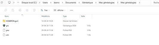mes généalogies mes généalogies VIGNERON, fichier endommagé.jpg