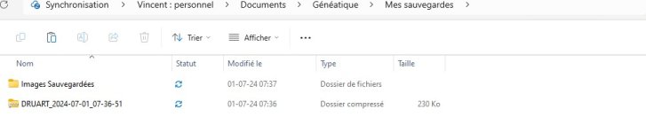 une autre sauvegarde.jpg