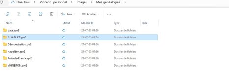 Trouvailles...dossier .gw2.jpg