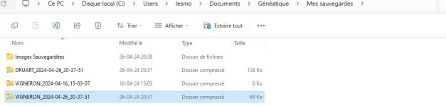 images sauvegardées dossiers vides.jpg