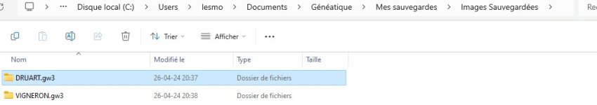 sauvegarde images sauvegardées.jpg