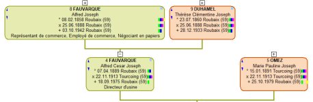 cases arbre Généatique.jpg