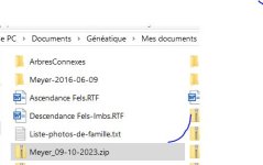 Généatique ZIP.JPG