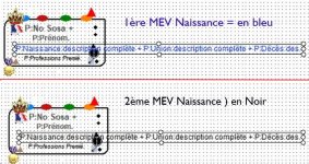 GT2024_MEV_Naissance.jpg