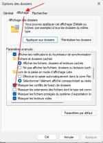 masquer-extensions.png