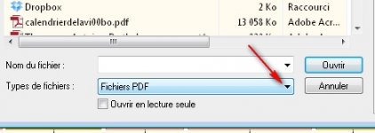 type-pdf.jpg